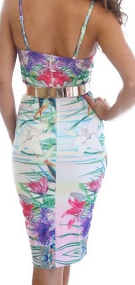 NWT Tropical V Plunge Neck Bodycon Midi Dress - Picture 5 of 10